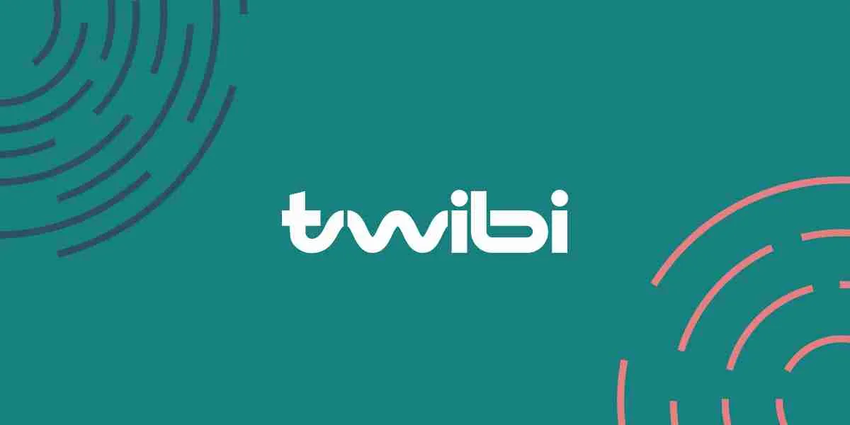 Twibi ChatGPT ad — Paid Ads Agency Focused on B2B Lead Generation in Email Marketing & CRM