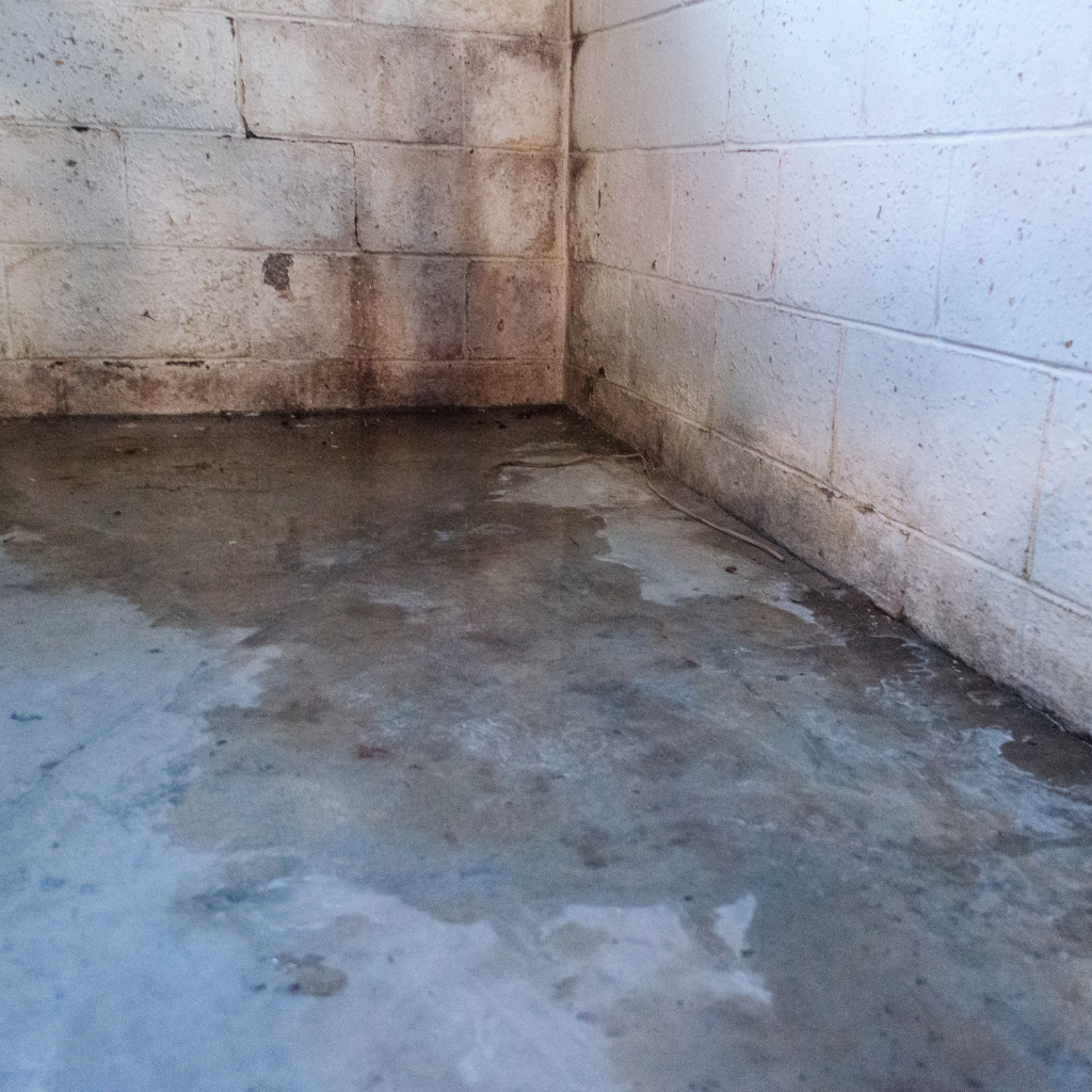 Helitech Waterproofing & Foundation Repair ChatGPT ad — Proven Waterproofing Systems in Bathtub, Tile & Countertop Refinishing Services