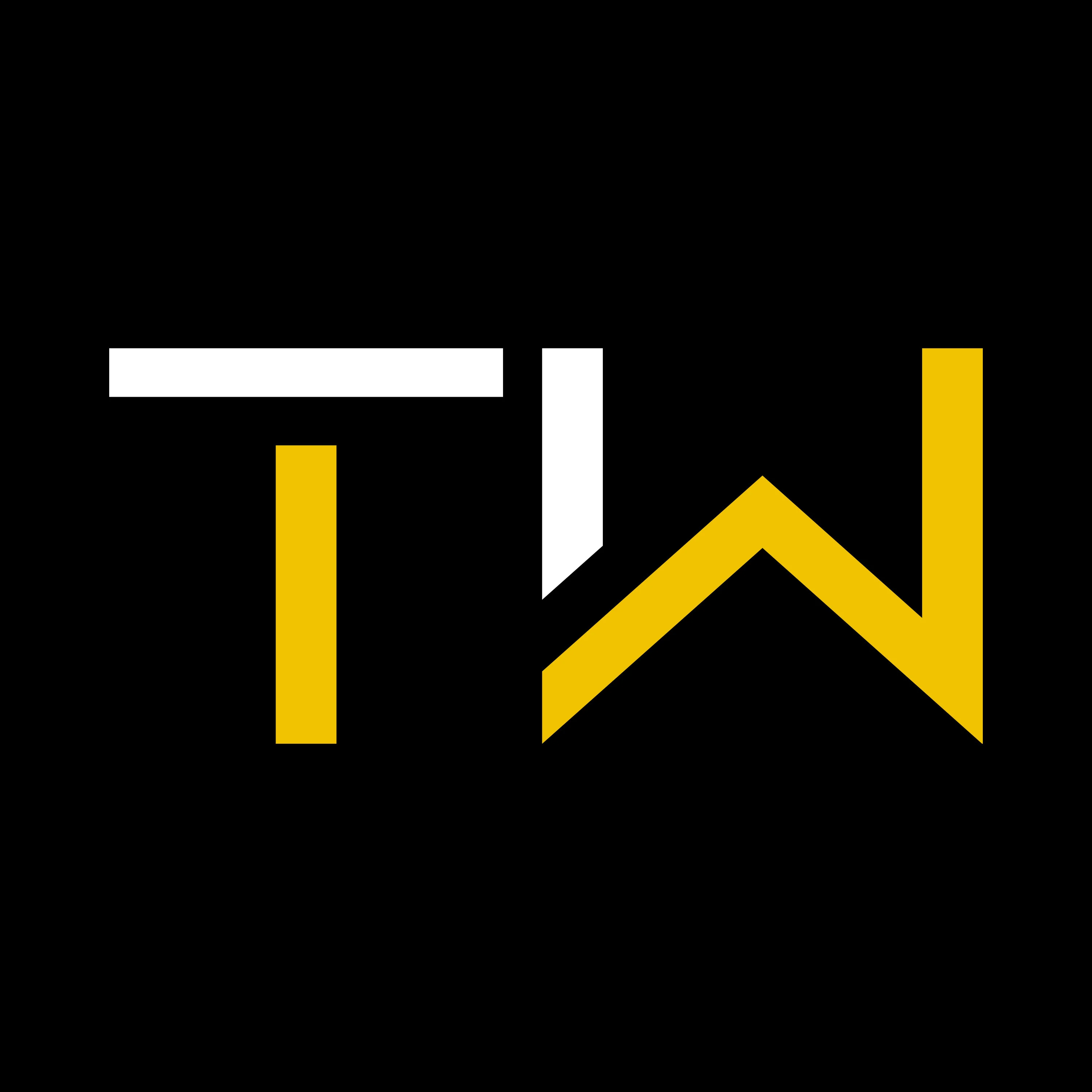 SilverWiz d.b.a. TWRAPS ChatGPT ad — TWRAPS - Original EV Accessories Made in USA