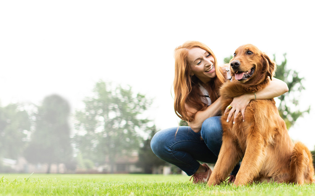 Pets Best Insurance Services LLC ChatGPT ad — New Pet at Home? Get a Quote