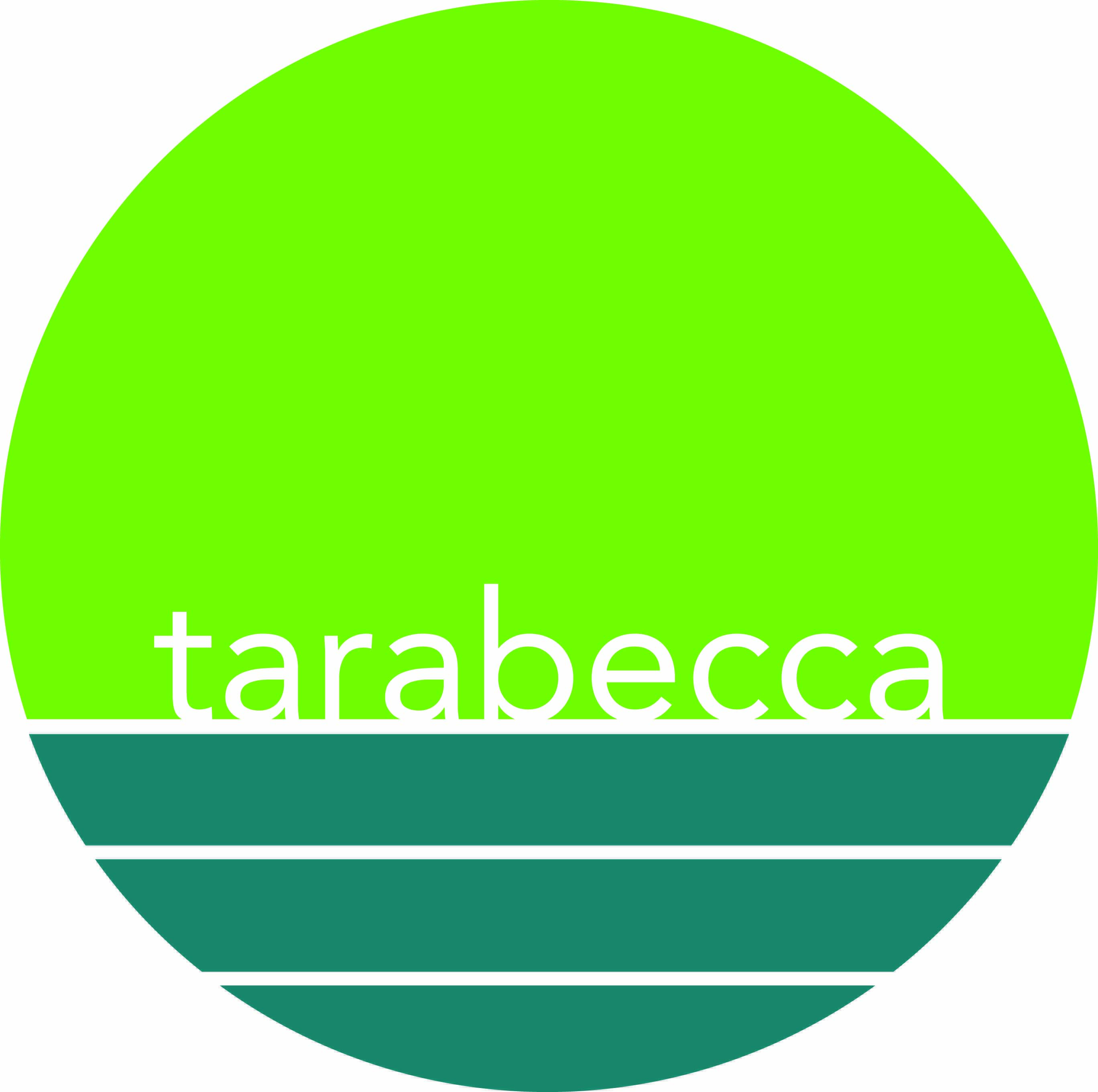 tarabecca llc ChatGPT ad — Get Found By AI in AI Search Optimization