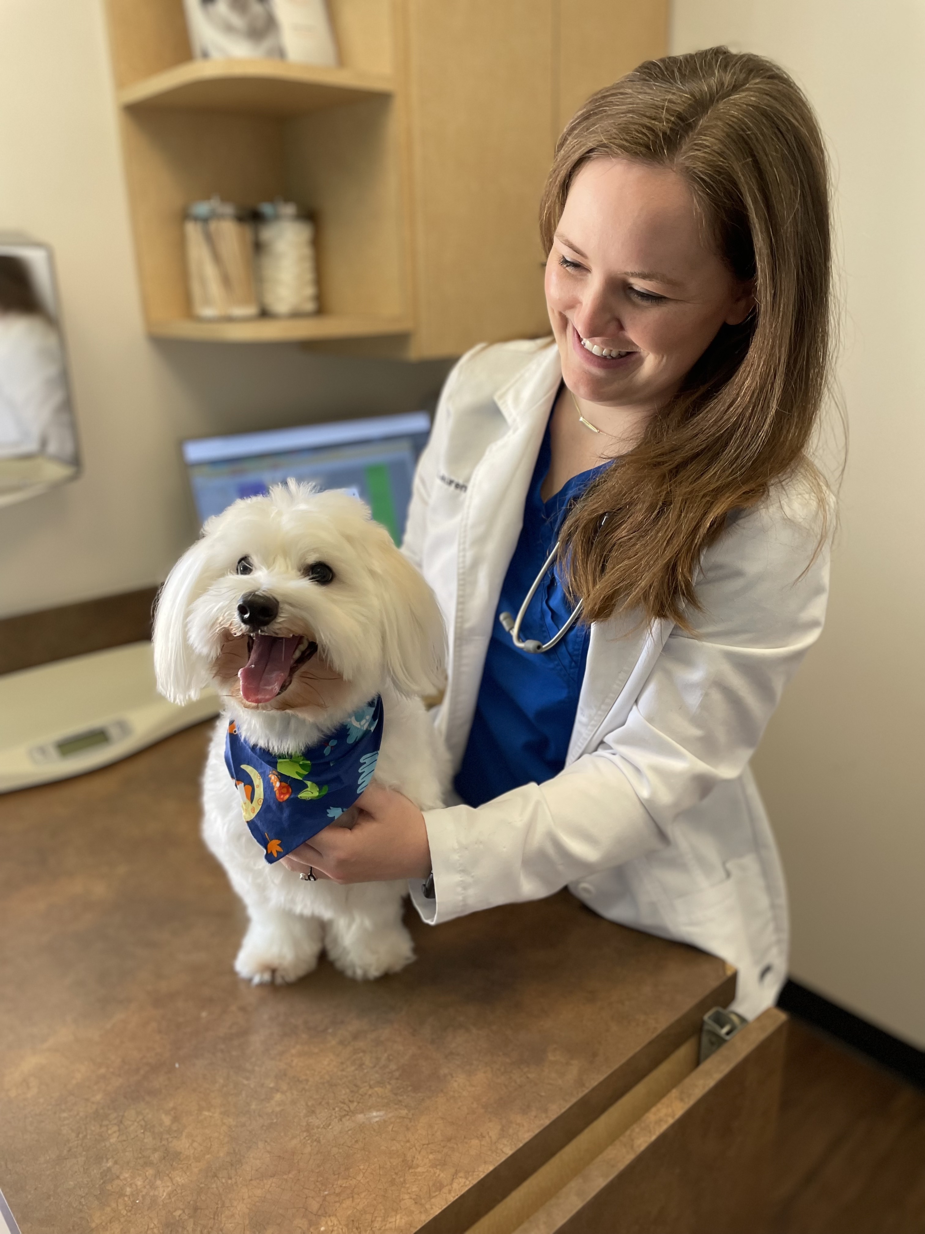 CityVet, Inc ChatGPT ad — Find a CityVet Near You