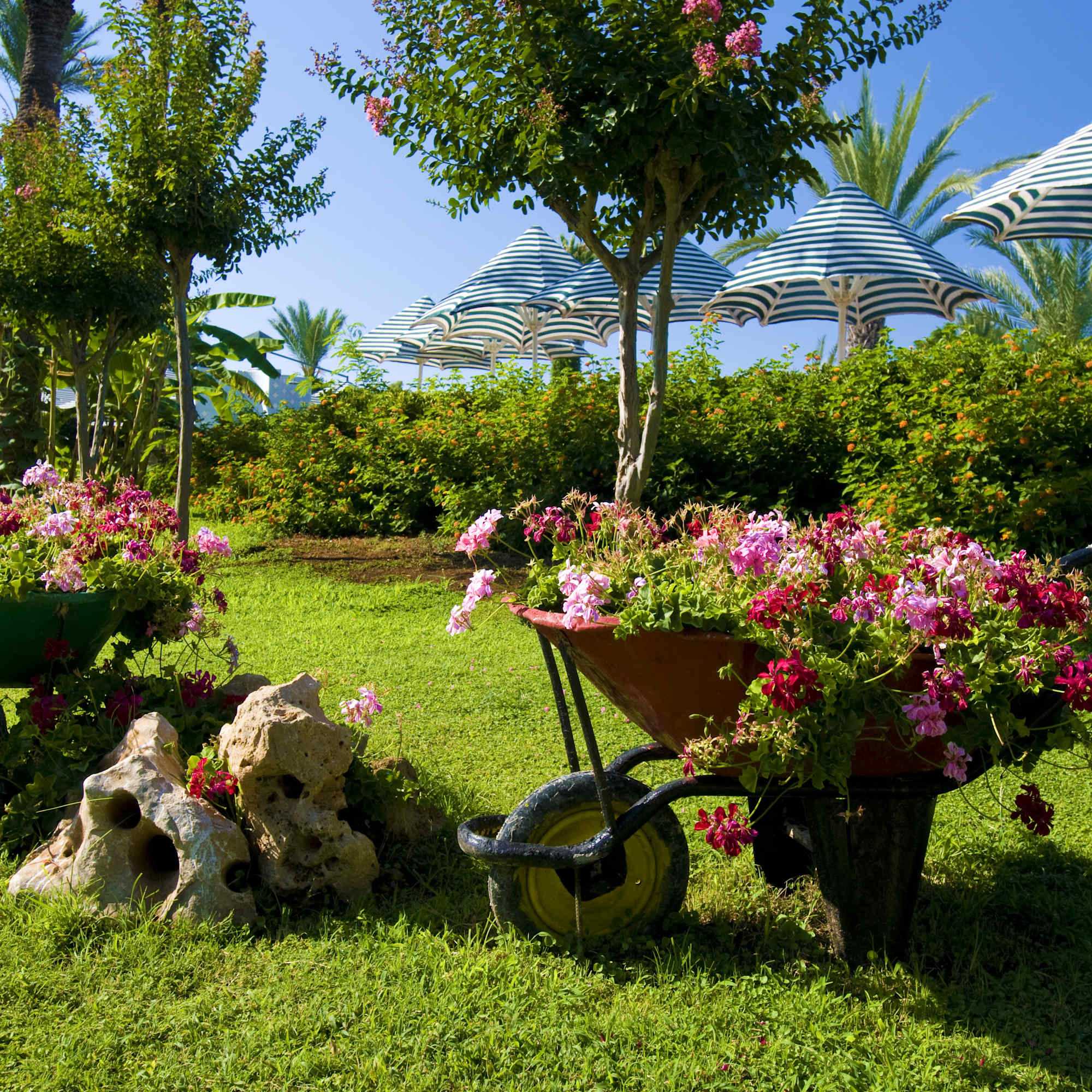 Angi ChatGPT ad — Landscape Design Pros in Pool & Spa Services