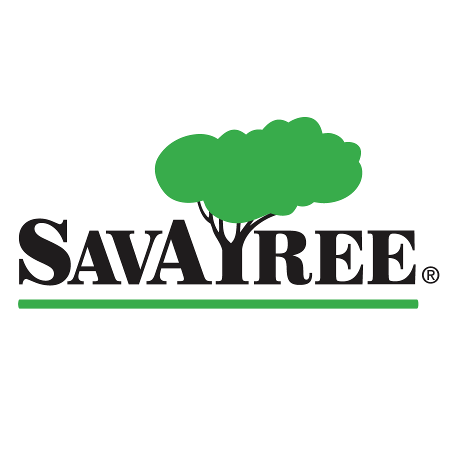 SavATree ChatGPT ad — SavATree Certified Arborists