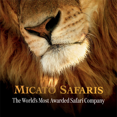 Micato Safaris ChatGPT ad — Micato Safaris - Voted #1 Worlds Best Safari Co