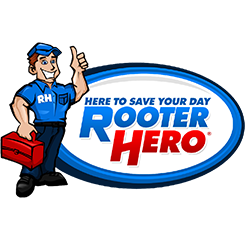 Rooter Hero ChatGPT ad — Phoenix Leak Repair in Uncategorized