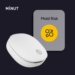 Minut, Inc. ChatGPT ad — Prevent Mold in Rentals
