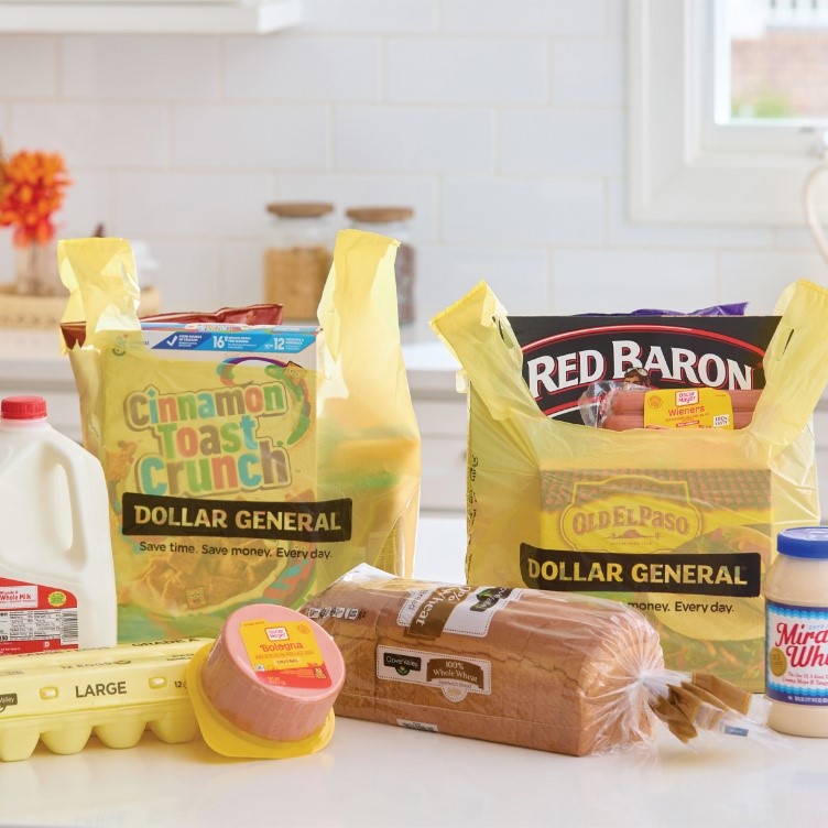 Dollar General ChatGPT ad — Grocery Delivery