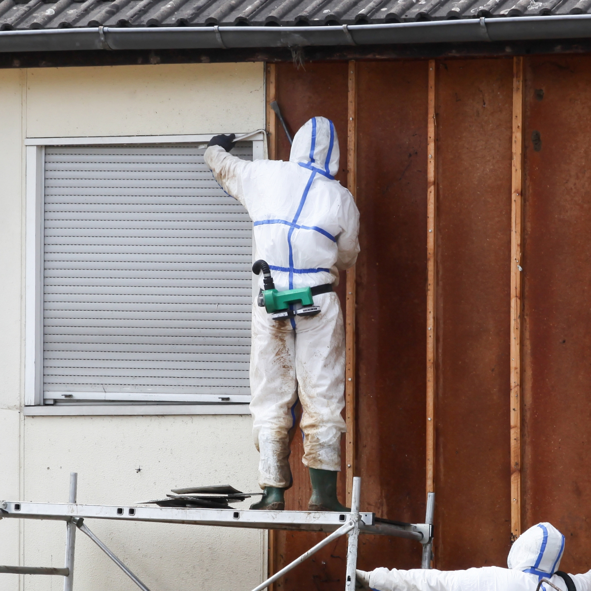 Angi ChatGPT ad — Local Mold Removal