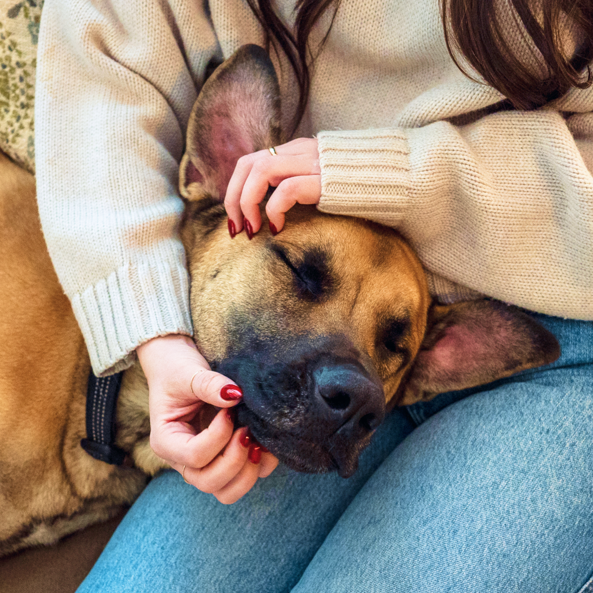 Rover.com ChatGPT ad — Find Local Doggy Daycare