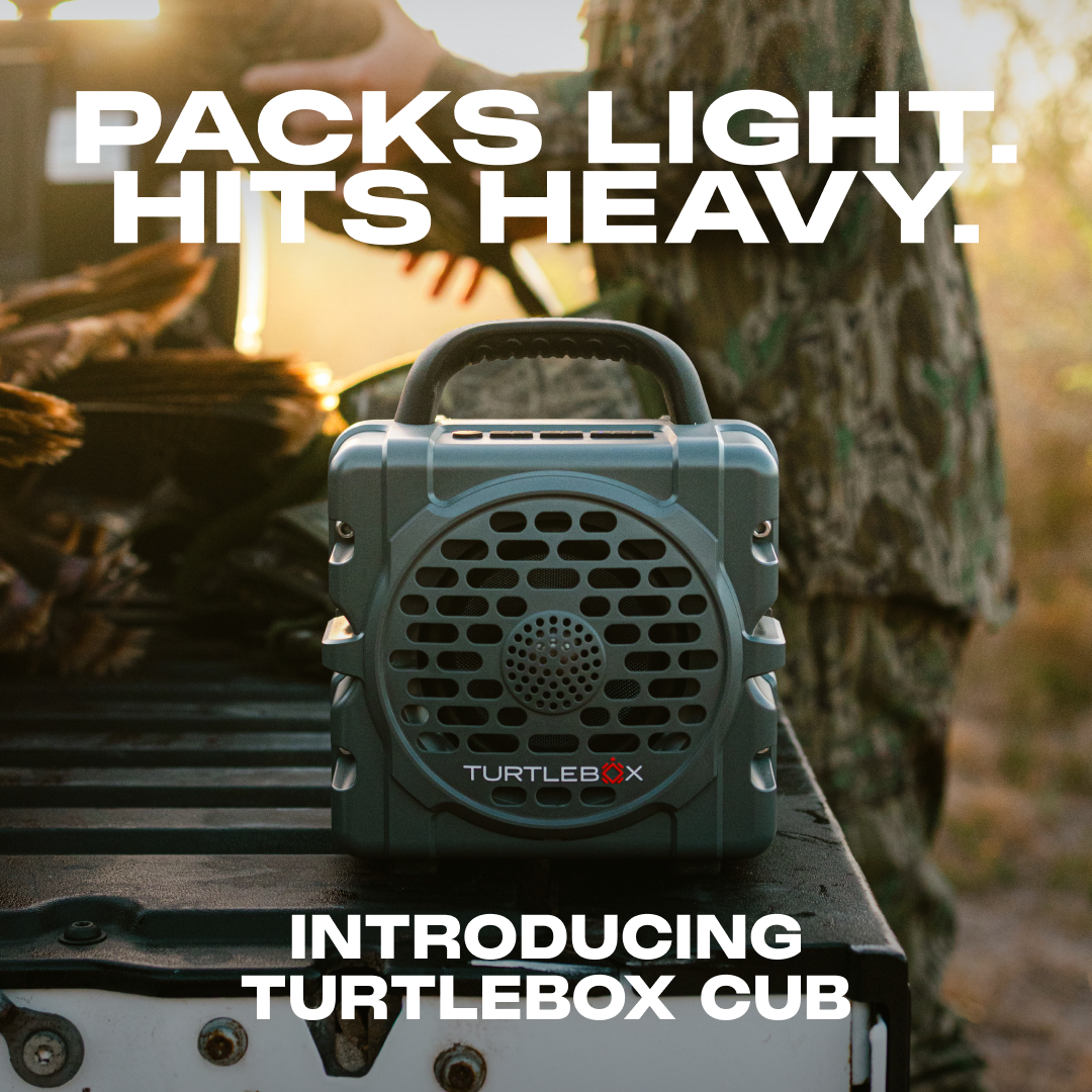 Turtlebox Audio ChatGPT ad — New Turtlebox Speaker
