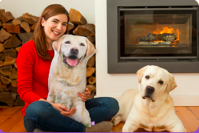 all about vibe llc ChatGPT ad — Turn Your Pet Photo Into A Pillow | Made In USA