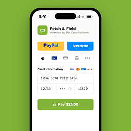 VizyPay ChatGPT ad — Embedded Payments for SaaS