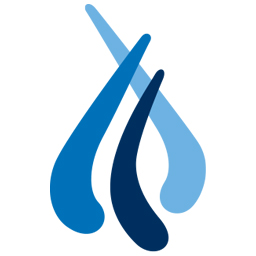 Paraco Gas Corporation ChatGPT ad — Pool Heating Propane from Paraco