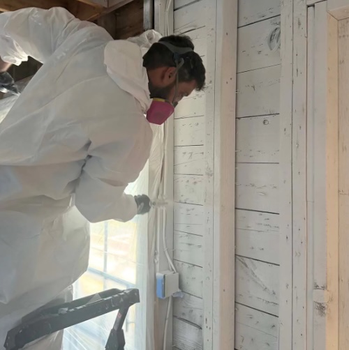 King Of Steam Corp ChatGPT ad — Is it Black Mold?  Find Out. Mold Testing