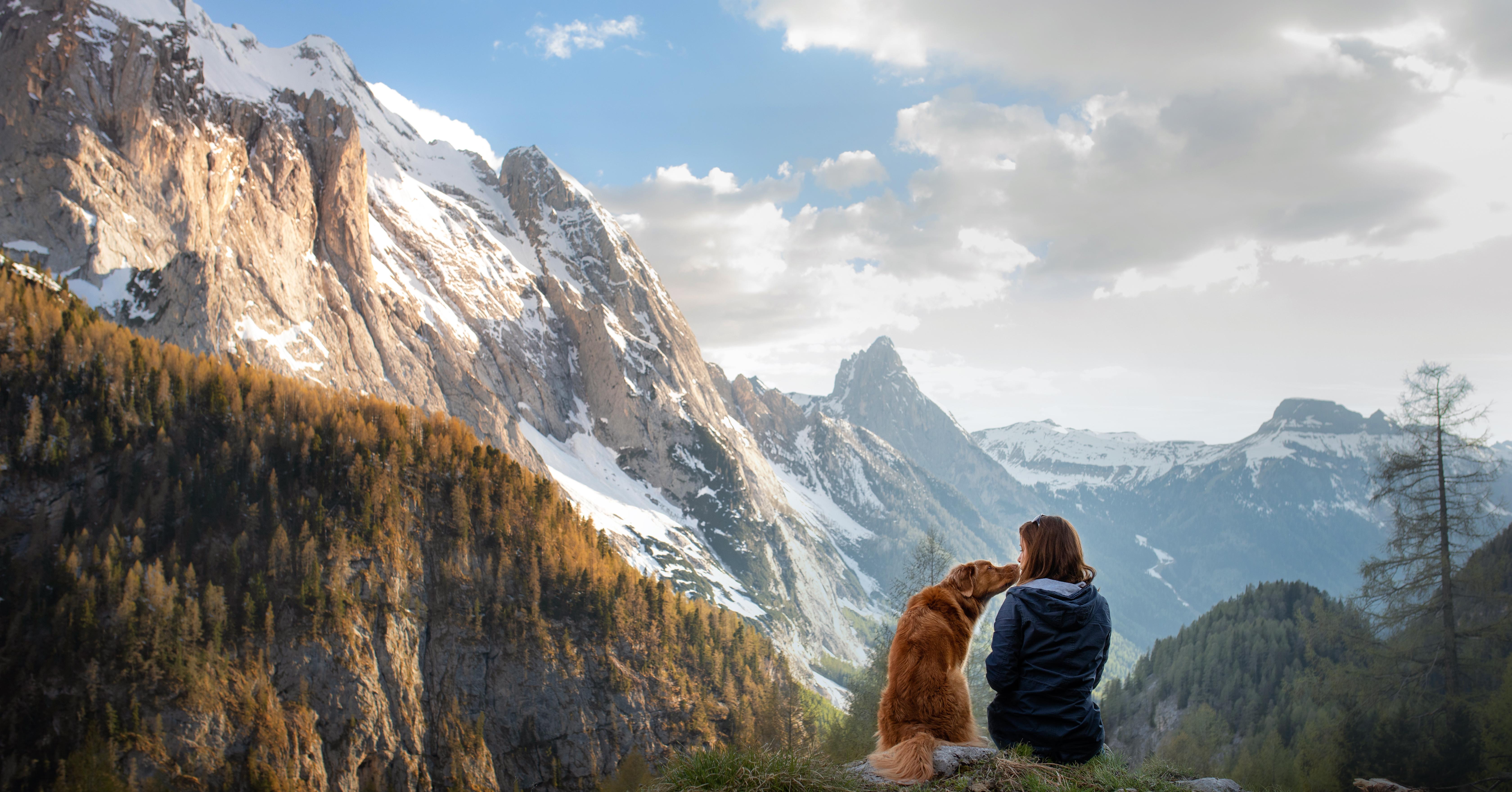 BestMoney ChatGPT ad — Best Dog Insurance 2026