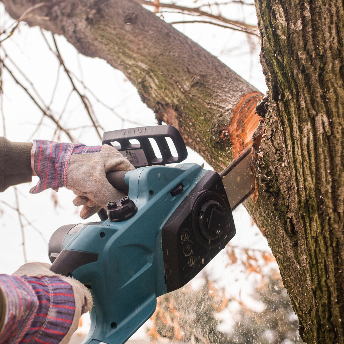 Angi ChatGPT ad — Find Local Tree Service Pros