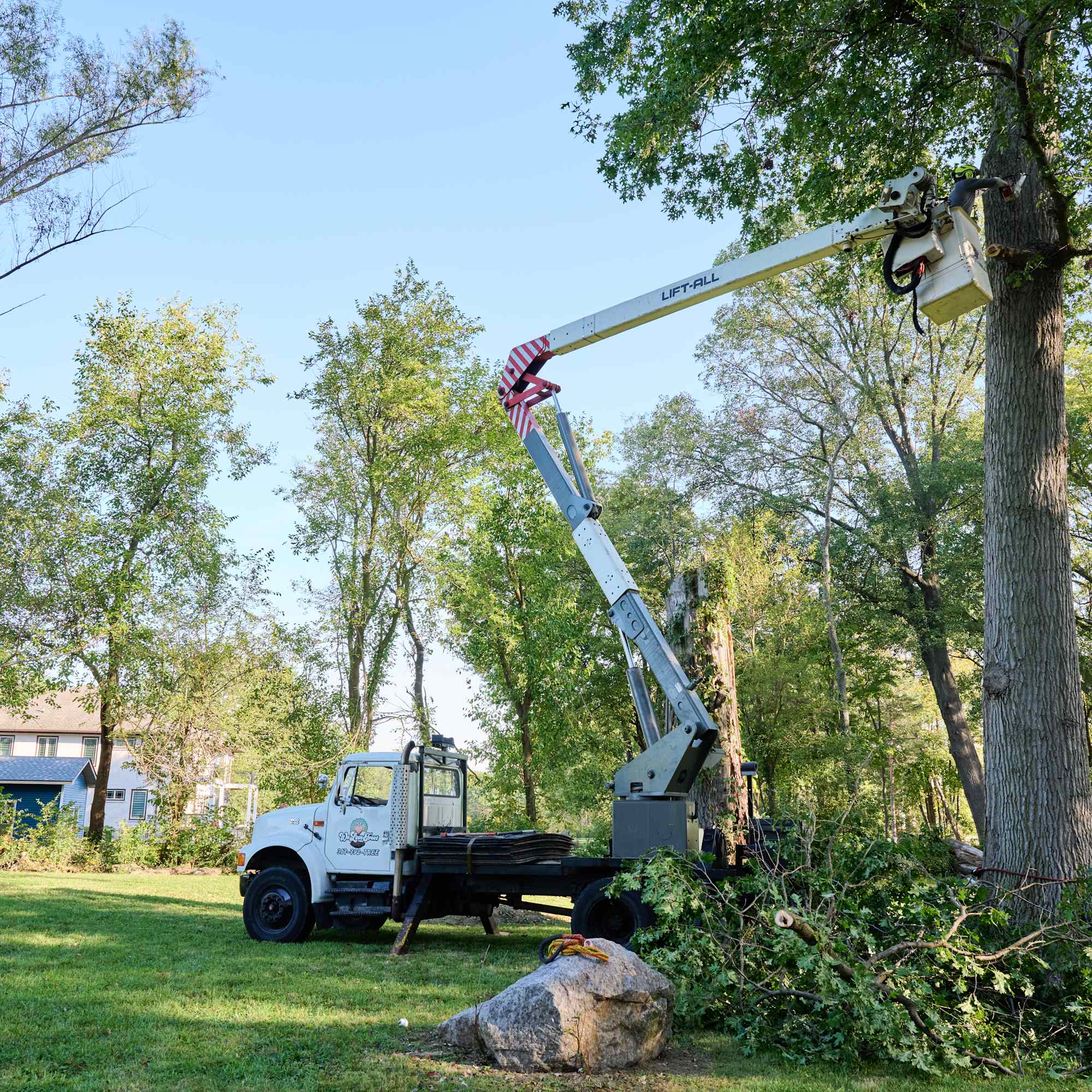 Angi ChatGPT ad — Local Tree Removal