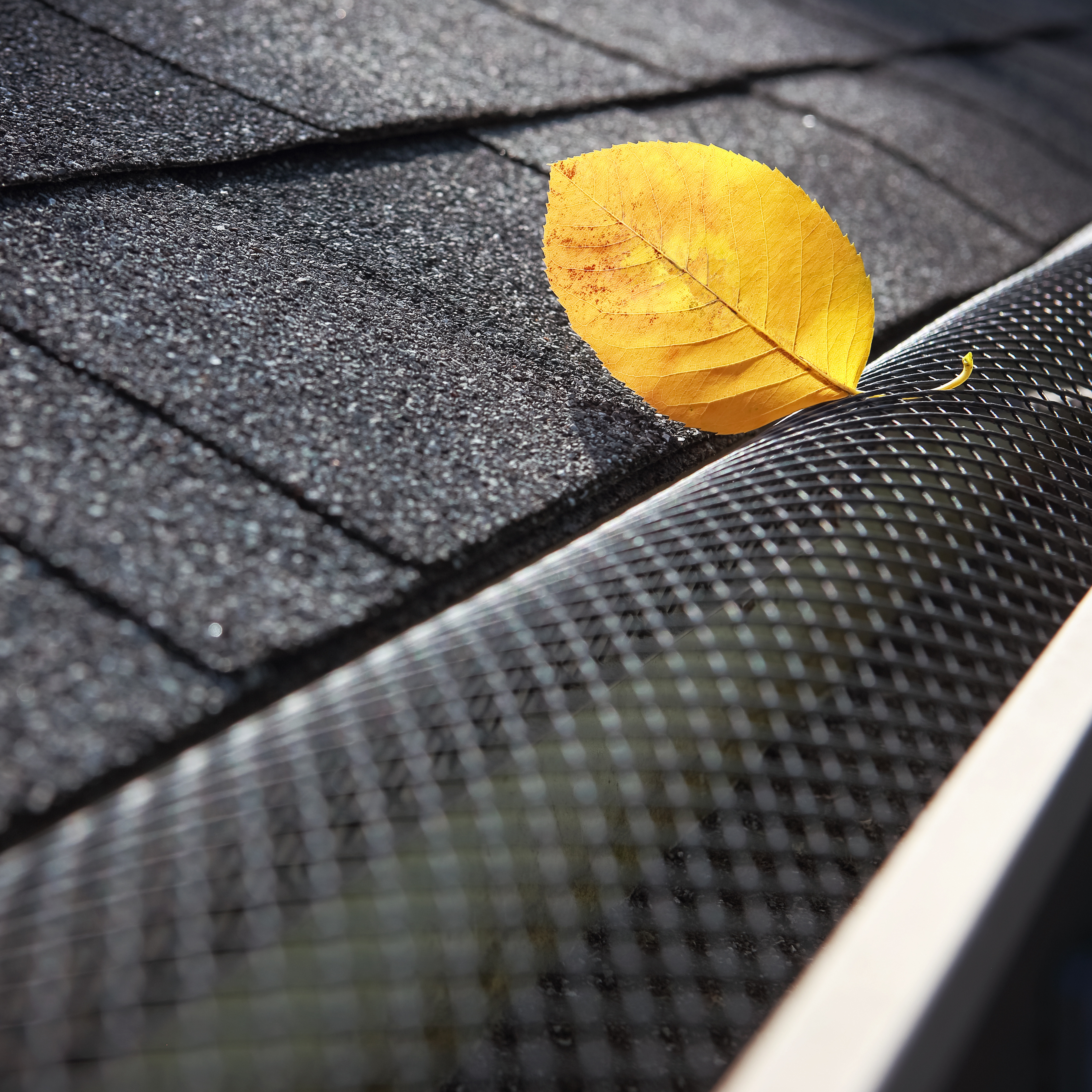 Leaf Home Pro ChatGPT ad — LeafFilter® Gutter Guards