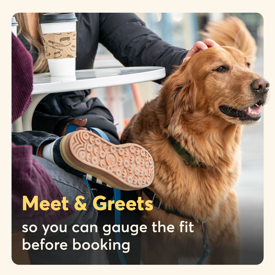 Rover.com ChatGPT ad — Rover.com - Home Pet Sitting