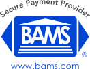 BAMS Holdings Group LLC ChatGPT ad — BAMS | Best Merchant Services Provider