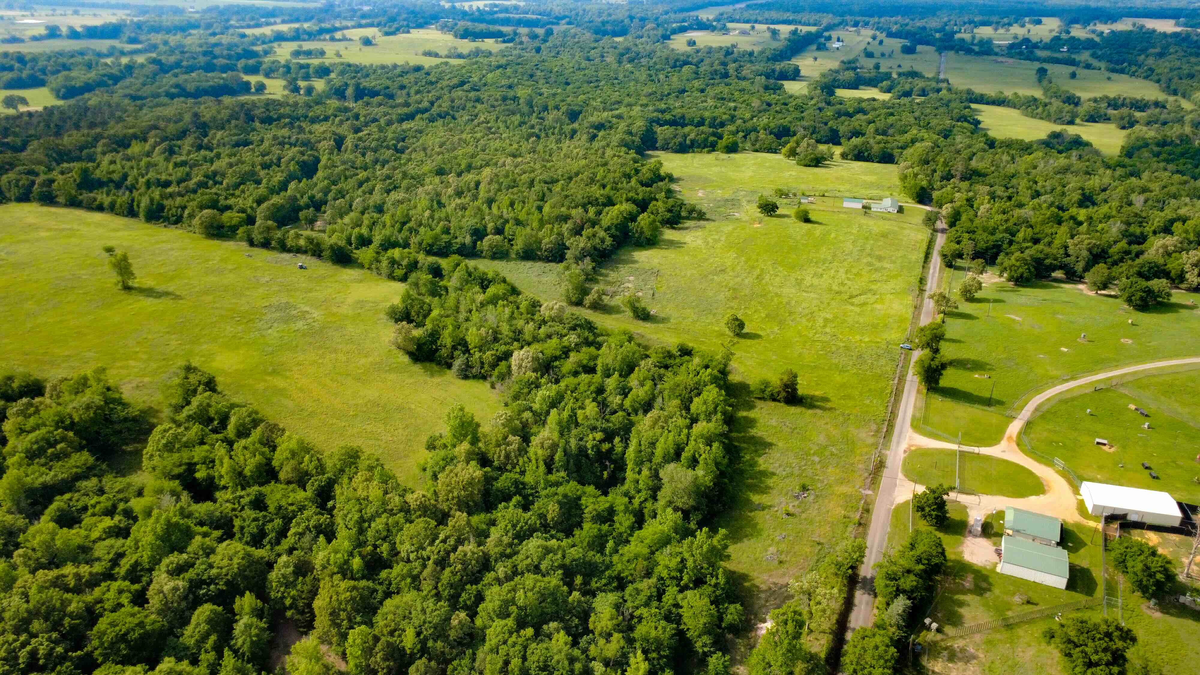 Portafolio Diversificado Alpha, LP ChatGPT ad — Texas Land Only 5% Down
