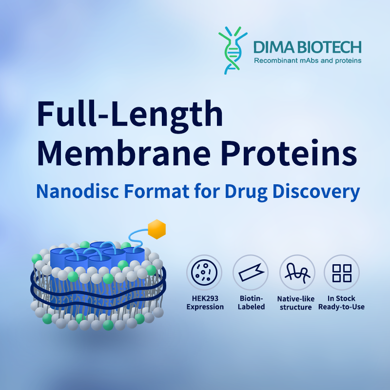 DIMA Biotechnology LLC ChatGPT ad — Nanodisc Membrane Proteins for Drug Discovery in AI Drug Discovery & Computational Biology Platforms