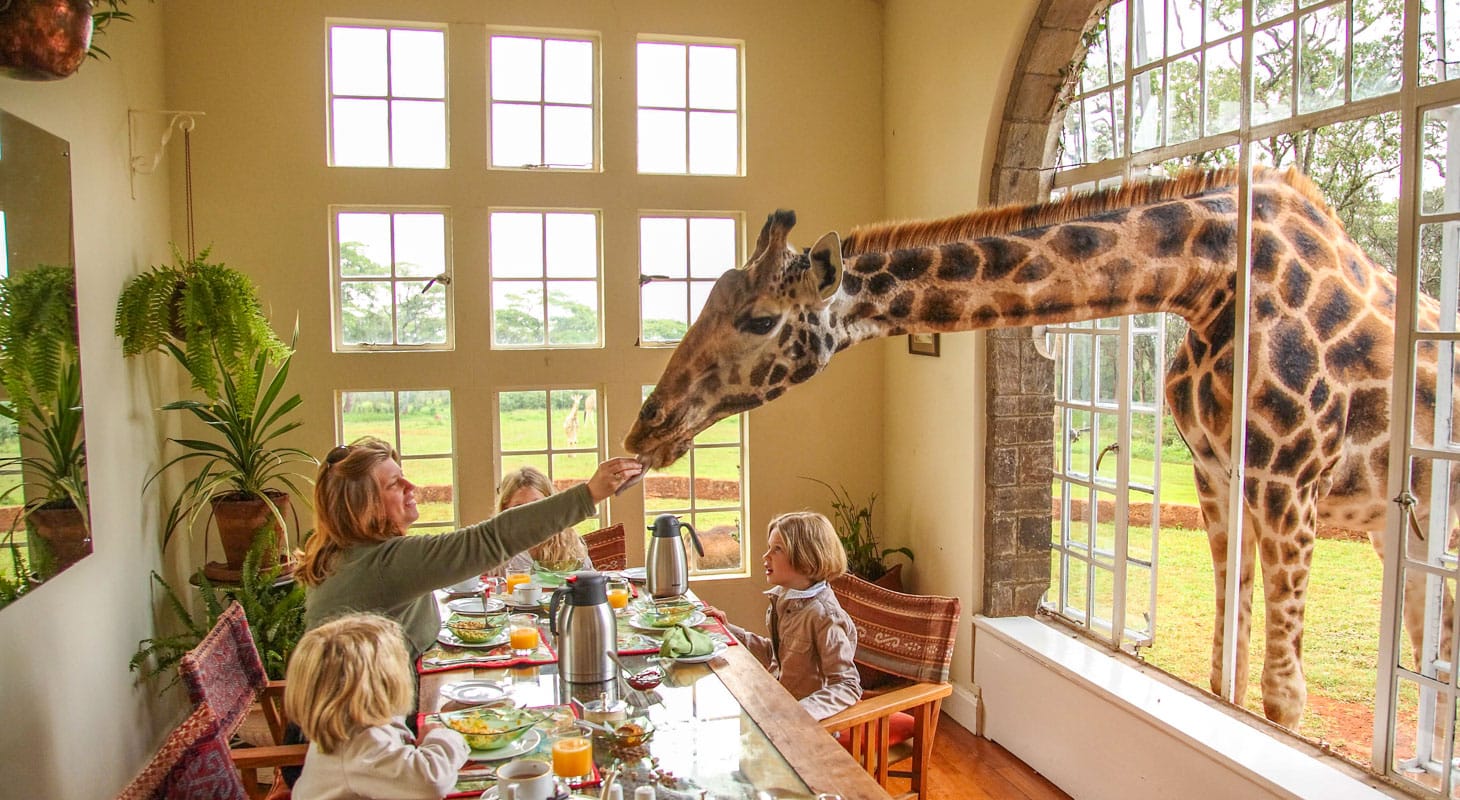 Micato Safaris ChatGPT ad — Luxury Family Safaris