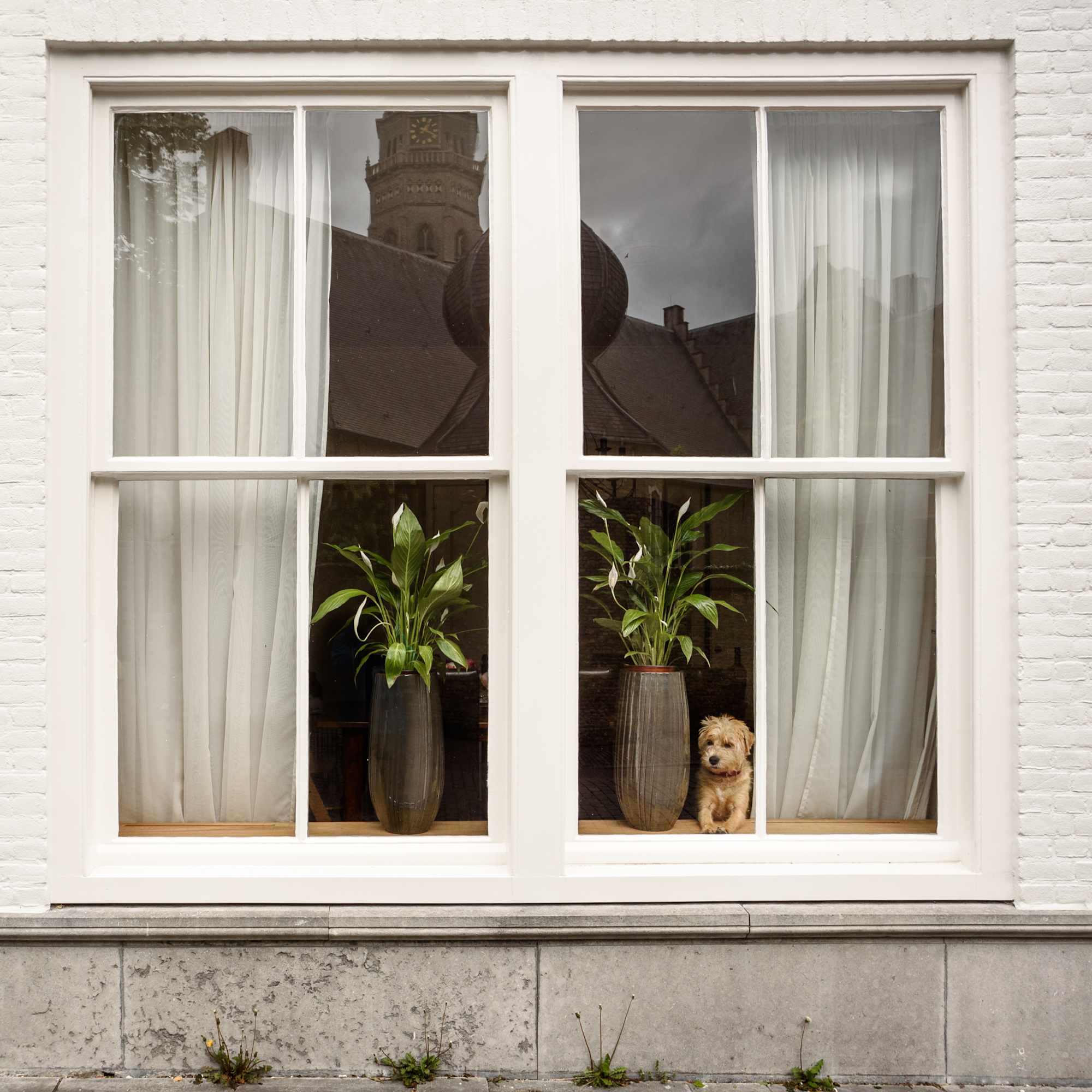 Angi ChatGPT ad — Find Local Window Contractors