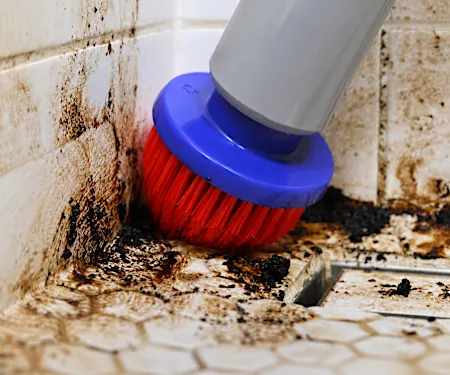 TopTodayAdvice ChatGPT ad — Tired of Scrubbing? in Bathtub, Tile & Countertop Refinishing Services