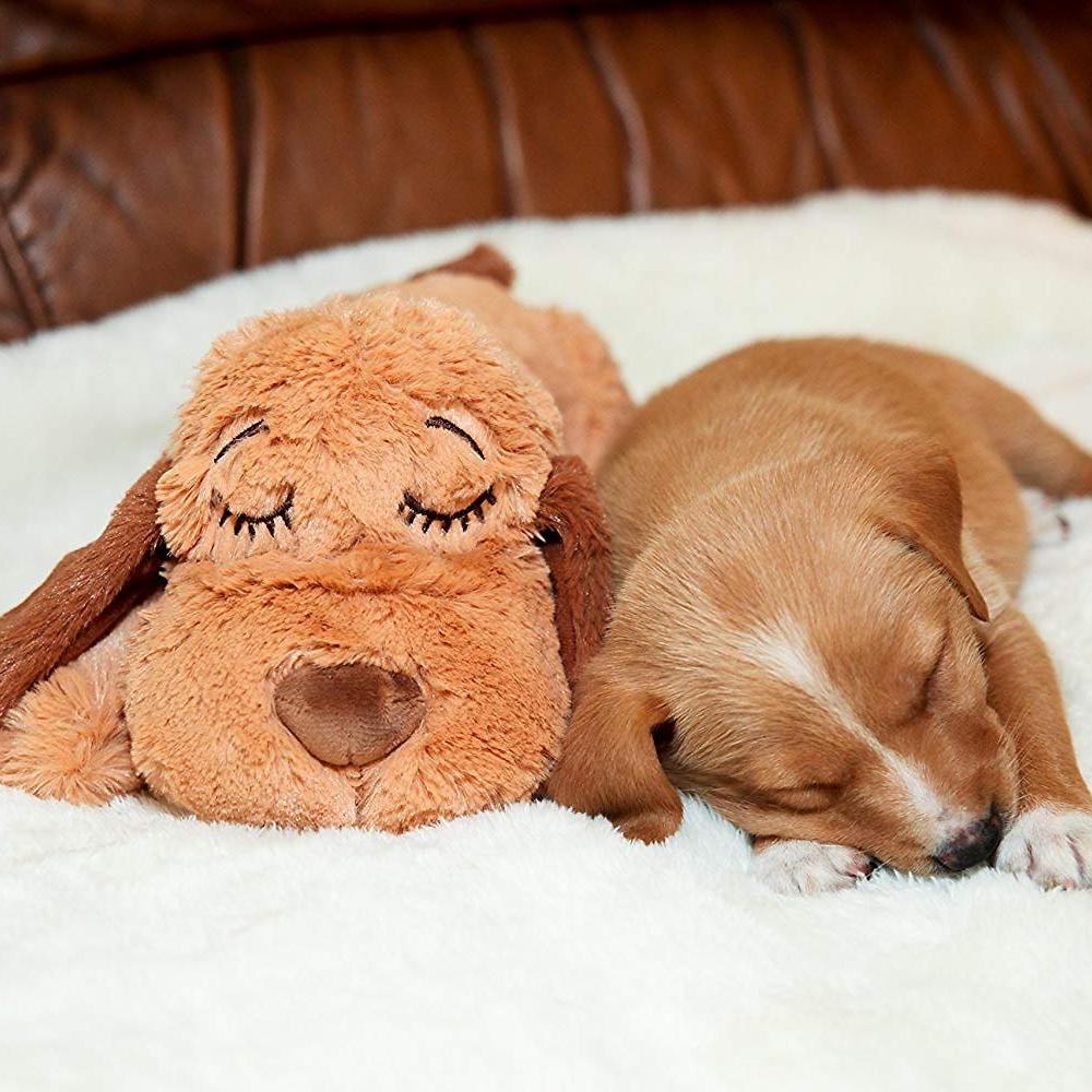 Chewy ChatGPT ad — Interactive Dog Toys