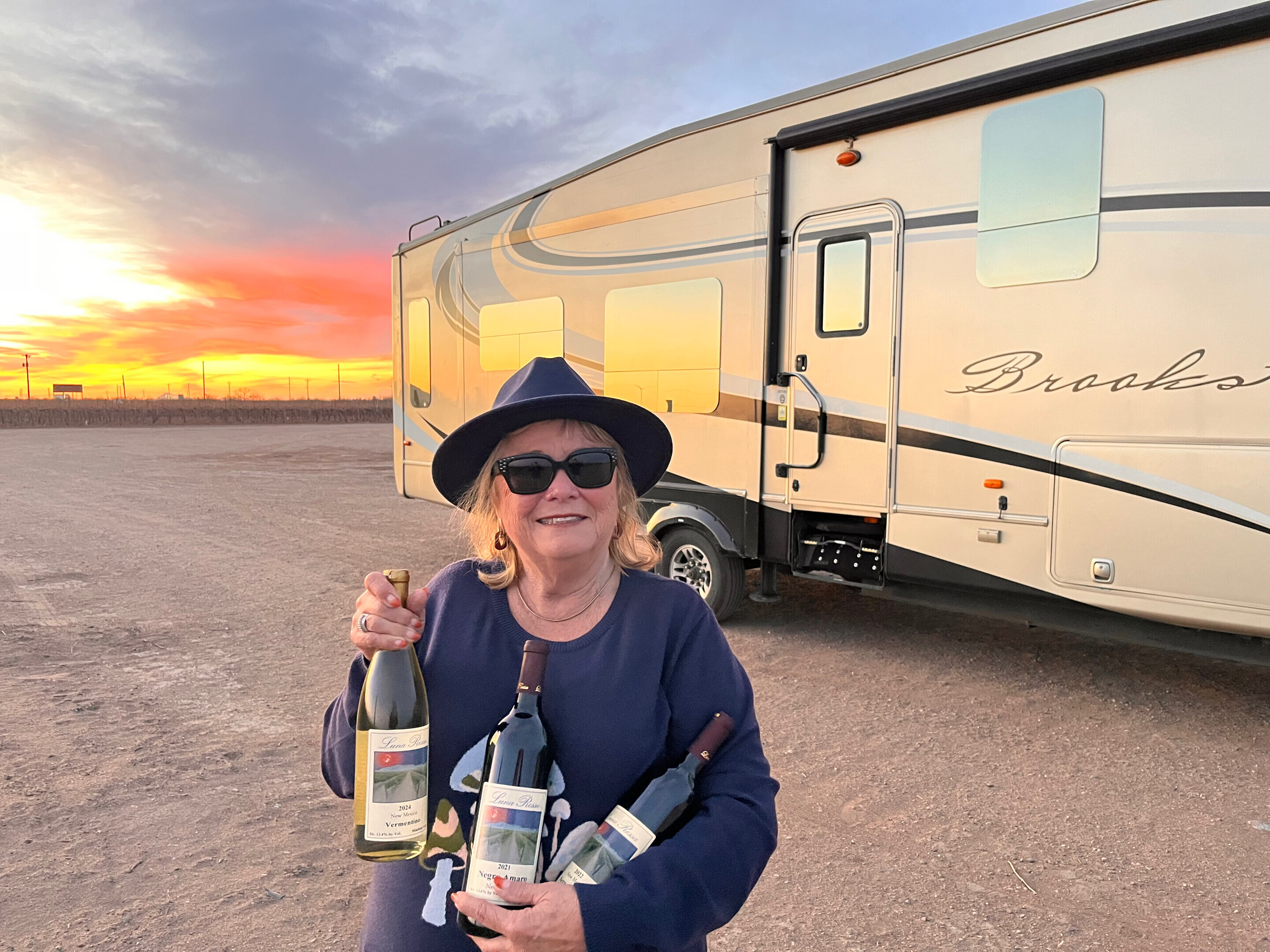 Harvest Hosts ChatGPT ad — 25% off unlimited overnight RV stays
