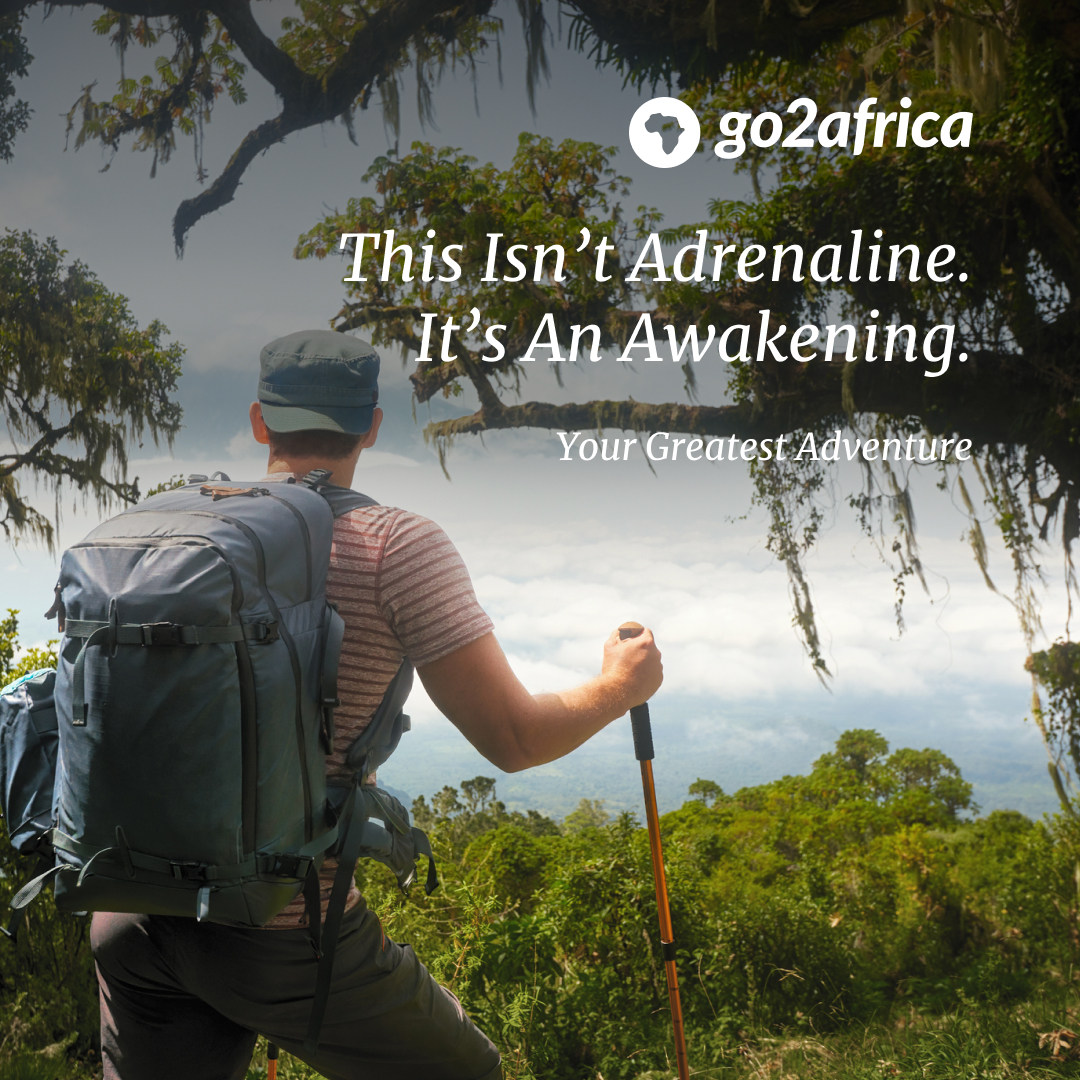 Asilia Africa US LTD ChatGPT ad — Go2Africa | Tours and Safaris