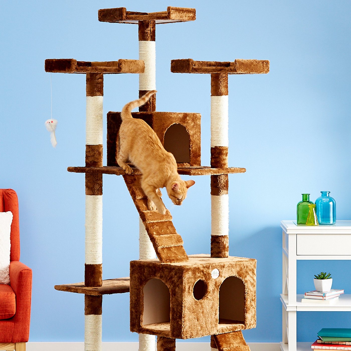 Chewy ChatGPT ad — Cat Climbing