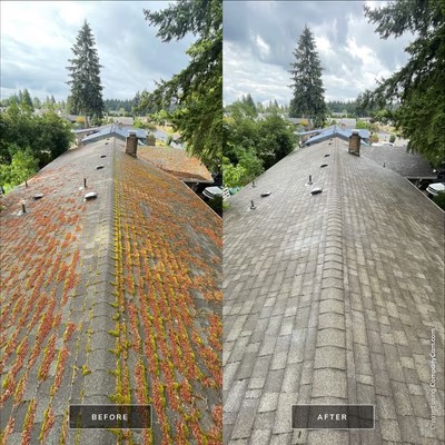 All Seasons Cleaning Services ChatGPT ad — Roof Cleaning & Moss Removal Vancouver & Portland