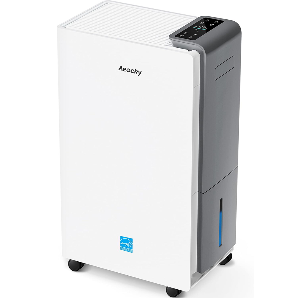 Consumer Picks ChatGPT ad — Top 10 Dehumidifiers 2026