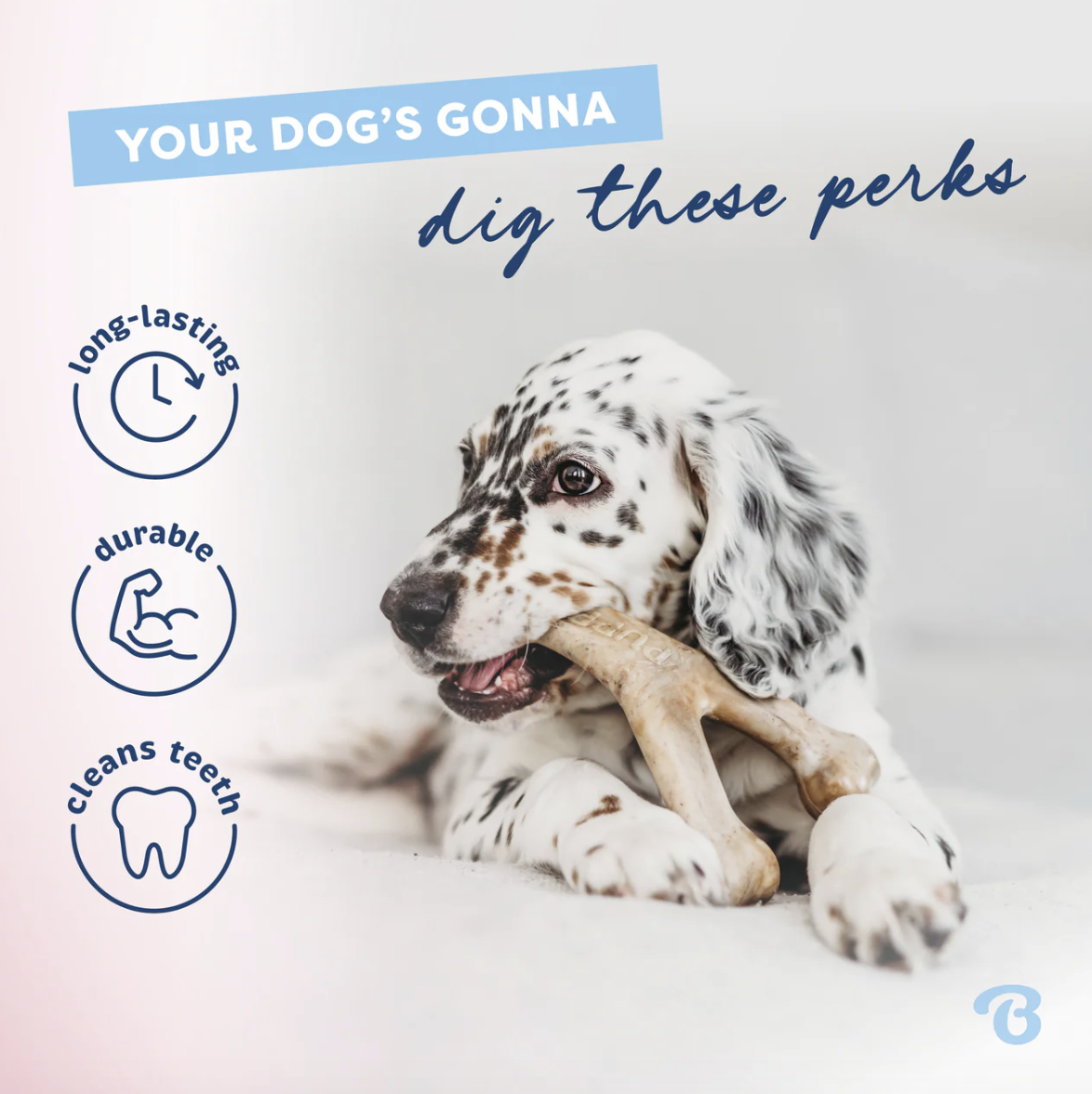 Benebone, LLC ChatGPT ad — Benebone Puppy Chews for Teething