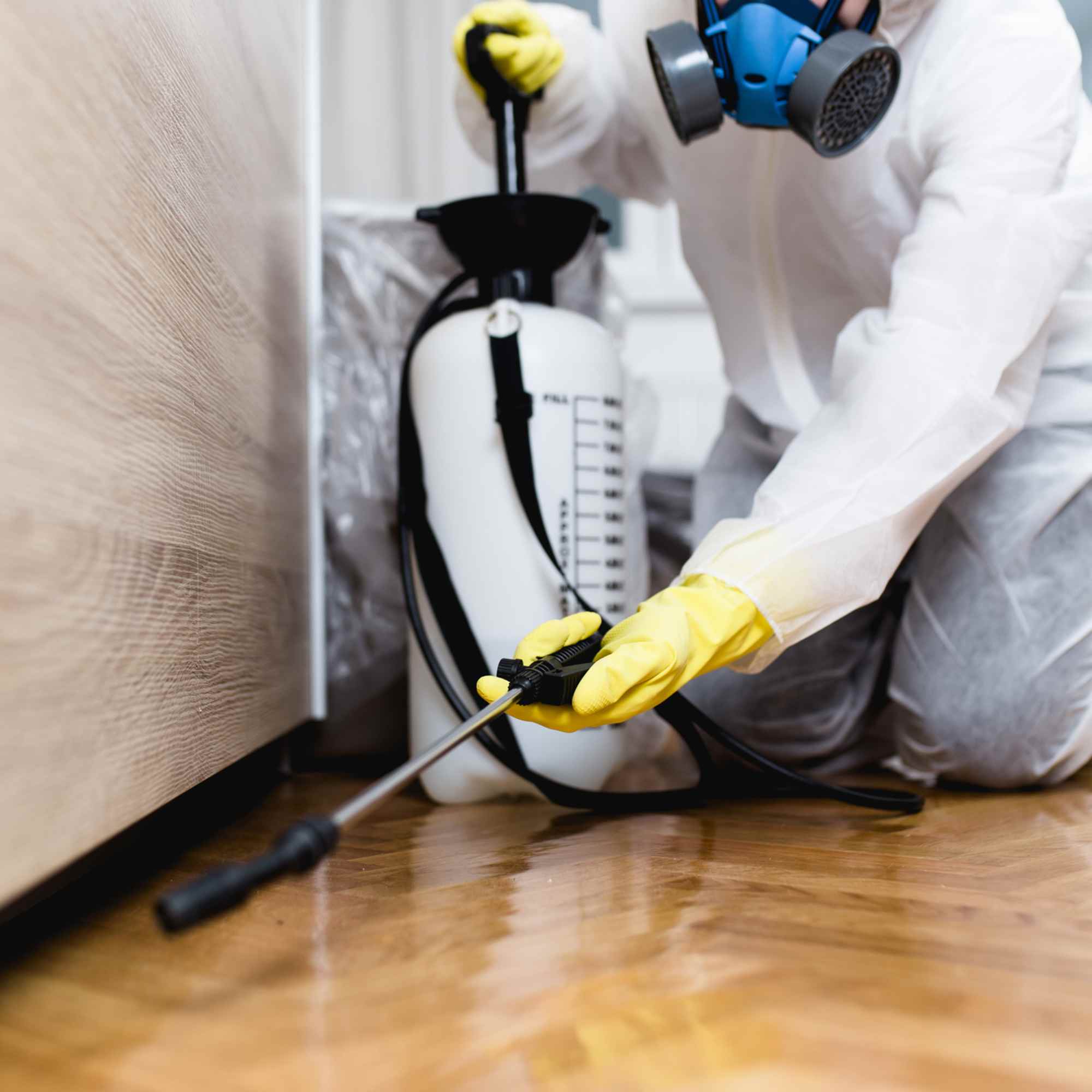Angi ChatGPT ad — Radon Mitigation? Hire a Pro