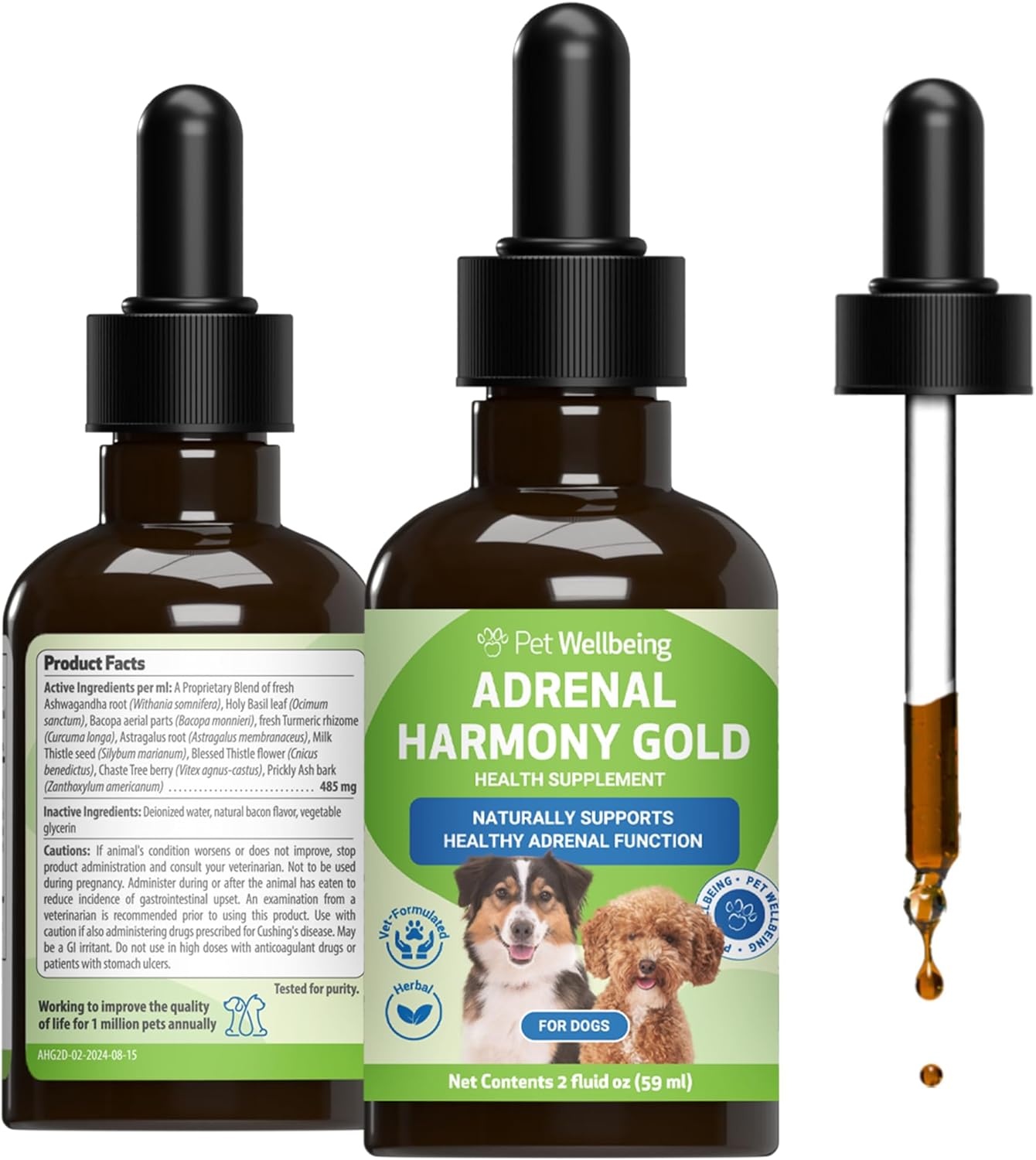 Pet Wellbeing ChatGPT ad — Adrenal Support for Dog Cushings