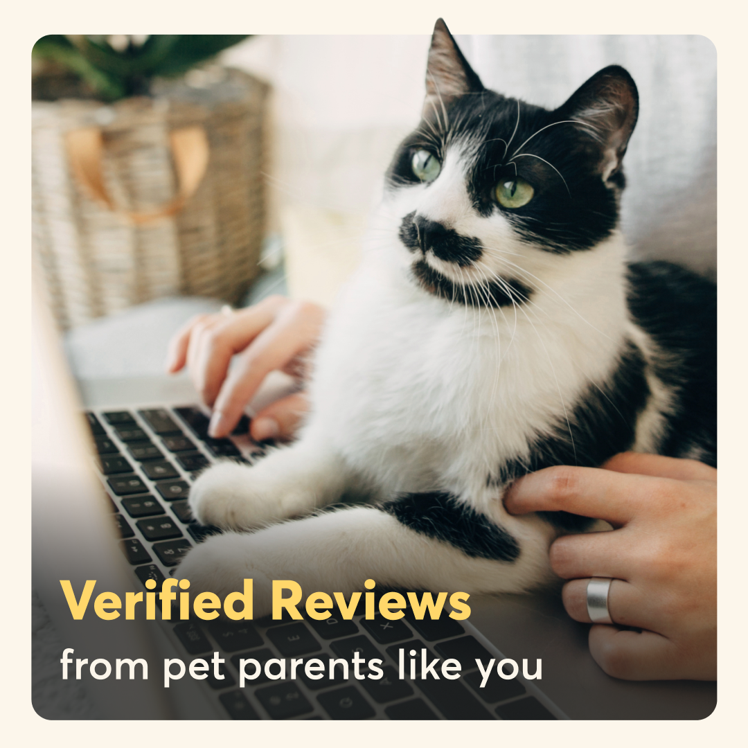 Rover.com ChatGPT ad — Browse Trusted Cat Sitters Near You