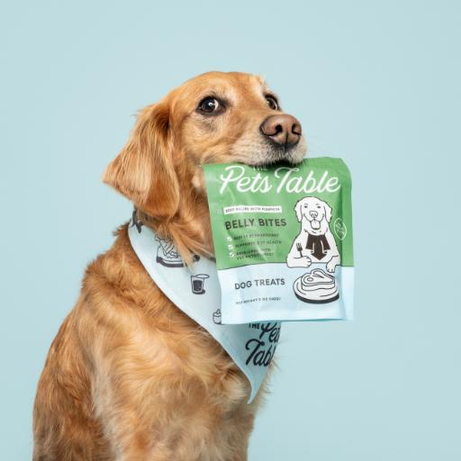 CompareGround ChatGPT ad — Best Fresh Dog Food Delivery Services 2026