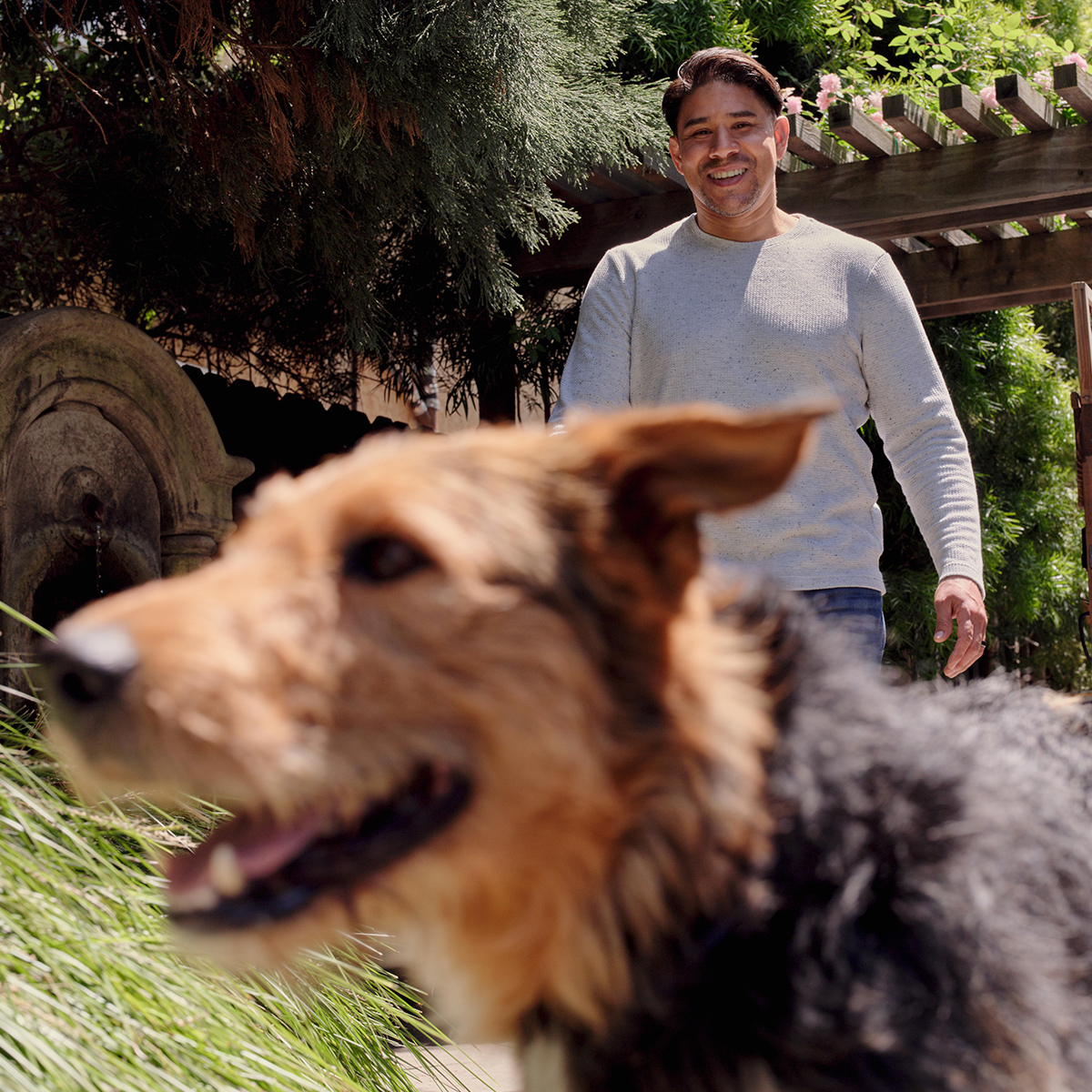 Care.com, Inc. ChatGPT ad — Find Pet Care On Care.com®