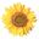 Homewatch Caregivers ChatGPT ad — Get Home Care Support Today