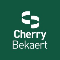 Cherry Bekaert Advisory LLC ChatGPT ad — Outsourced Accounting Services in Enterprise & Fintech