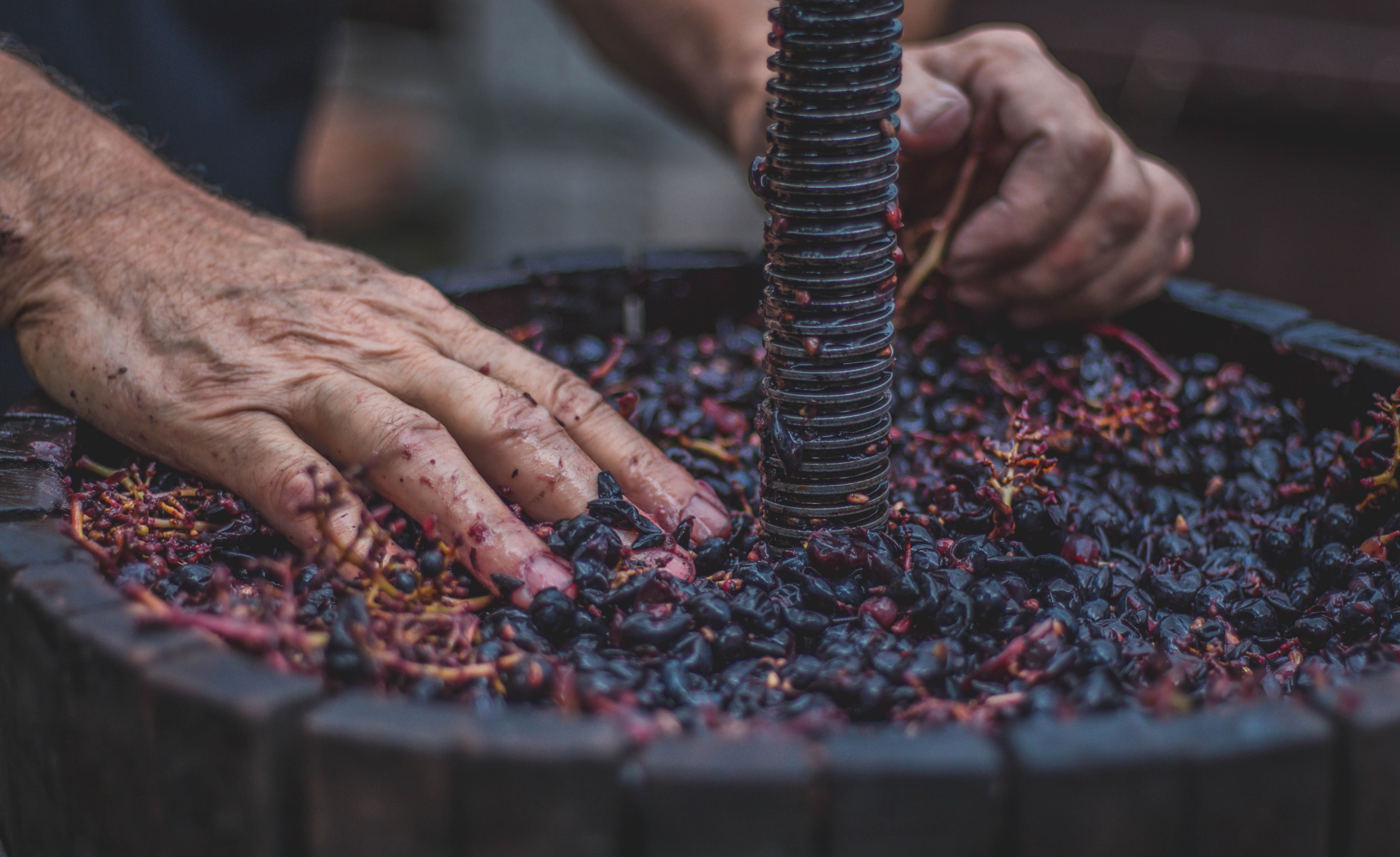 California Wine Tours, INC ChatGPT ad — Napa Valley Wine Tours