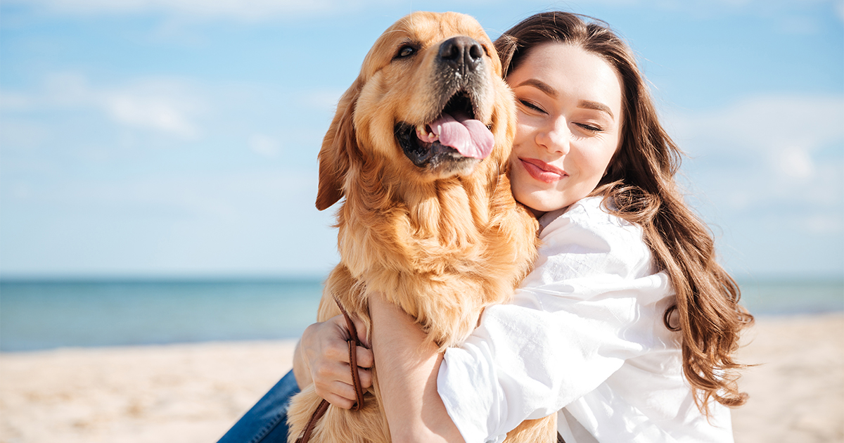 CompareGround ChatGPT ad — Best Pet Insurance Plans Compared 2026