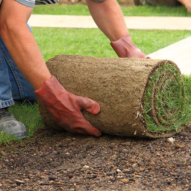Angi ChatGPT ad — Sod Installation Pros