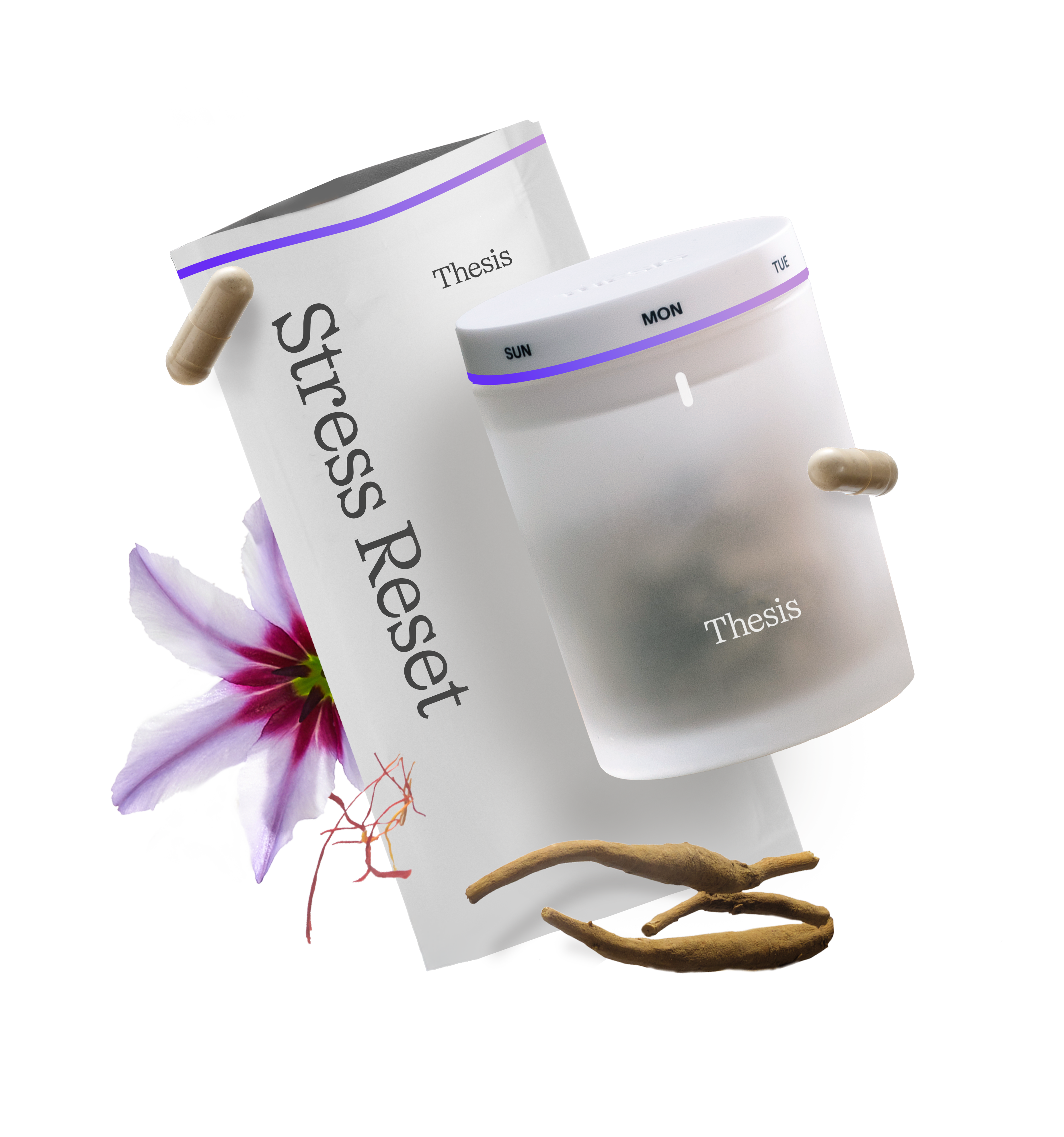 Thesis ChatGPT ad — The Stress Supplement Built on Science