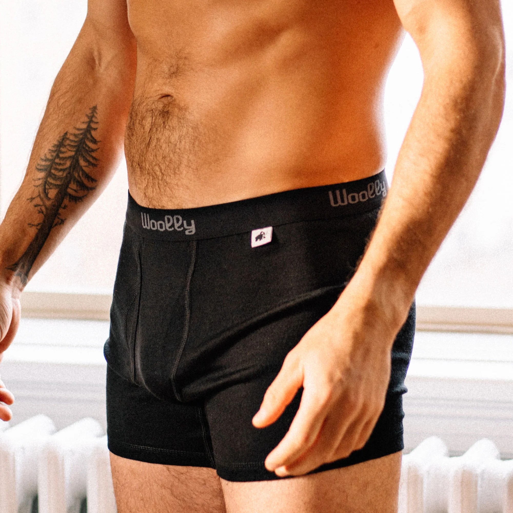 Woolly Clothing Company LLC ChatGPT ad — Woolly - Merino Boxers Are Better