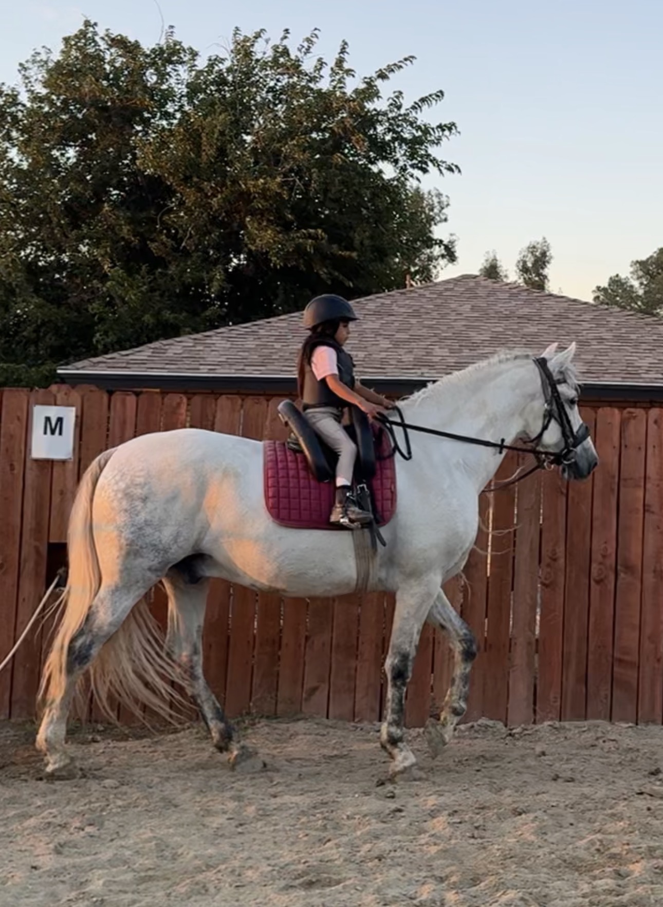 Hussar Stables ChatGPT ad — A Better Activity Than More Screen Time